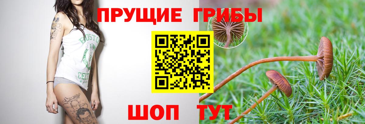 Холмск  Галлюциногенные грибы MAGIC MUSHROOMS  Вход с VPN  Галлюциногенные грибы MAGIC MUSHROOMS 